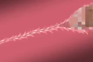 dddca72bdcdf1918b57558afde974f86.mp4