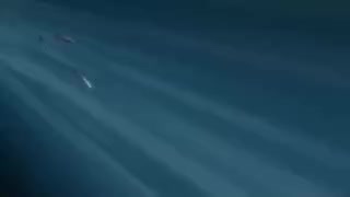 d217692bbd1e69cf111b22aae95c3970.mp4