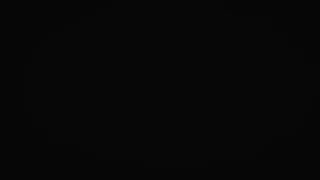 693a2a0f41fca73897353bde1c518fed.mp4