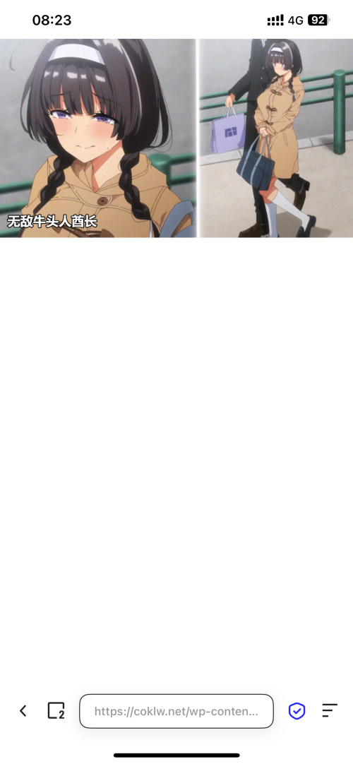 1355db0ff1f49703aa311c89120b2867.png