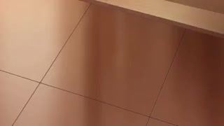 571975b64c46a7a81dd71560795e7f7d.mp4