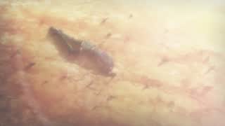 4dacae89ce8694616e0a1279bd0968ea.jpg