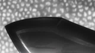 7d294b4aaf3e5f6c7c370855b88100fe.jpg