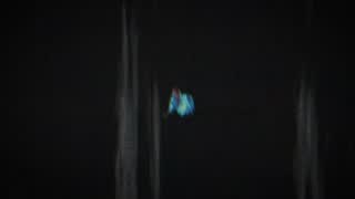 31239624407ae7b05be78c929fc469e8.jpg