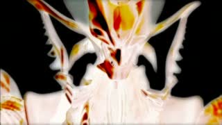 2280222de3716fc89e0f7dc96a3af6b9.jpg
