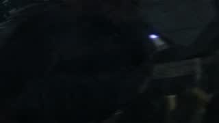 9e9b7326516136220ff0ab7edacd86c0.jpg