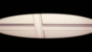 ddf67ccb13273b7b11613994c4518e56.jpg