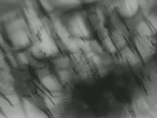 3e6665f555b50461519c459935494140.jpg