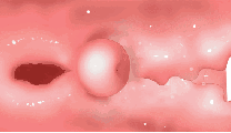 311797930ea1ac75ed72c7fc48fcba66.gif