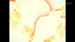 aa246d54ecb7525b838100477c99fc6a.jpg