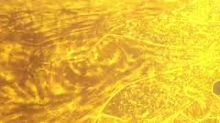 9894a5414a1576057d8b0959168f5dda.jpg