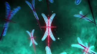 d8cfe9c465a7d1b32b91885ec0fcda90.jpg