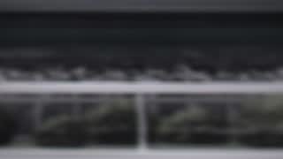 73288f70e8234071372223230e49f378.jpg