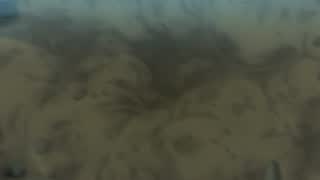 f10e2730ed312e6e9bbff179dbb1163f.jpg
