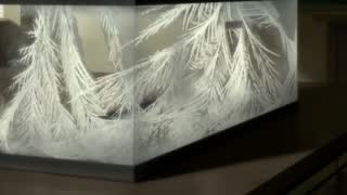 27a5024f960e8e23fe2f4dc9ee34b1e8.jpg