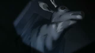 be030ddb6bc5c1d44ecffcb7bd428e3a.jpg